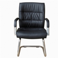 Diretor S - Pelegrin