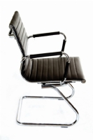 Diretor S - Pelegrin