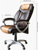 Presidente - Pelegrin