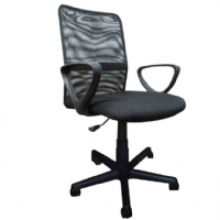 Diretor Tela - Pelegrin