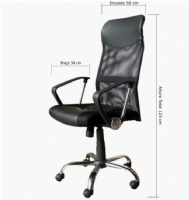 Presidente - Pelegrin