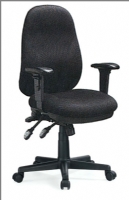 Presidente - Pelegrin